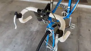 The Schwinn Traveler