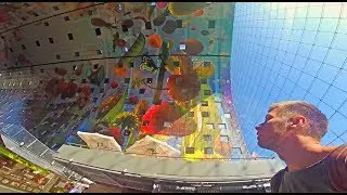 Нидерланды, Роттердам, места где снимали фильм с Джеки Чаном. ExplorerDays-21