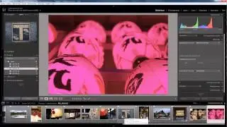 Lightroom Plugin 10 - DXO optics pro