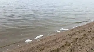 Погружение