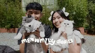 Meowmily Diaries | Cafe Date, Meowdy's Birthday, Movie Night