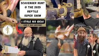 Finding Dream Snakes And More at The Reptile Super Show 2025!