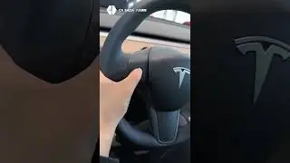 Immersive experience of the 2024 Tesla Model Y.#tesla #model #modely #china