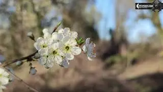 Xiaomi redmi note 10 pro video test 4k