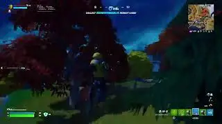 Gameplay