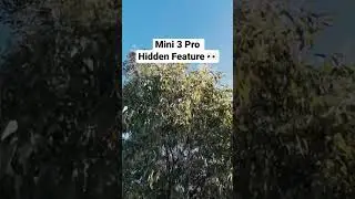 A hidden feature on the DJI Mini 3 Pro 👀 #djimini3 #djimini #djimini3pro #dronetips #mini3pro #dji