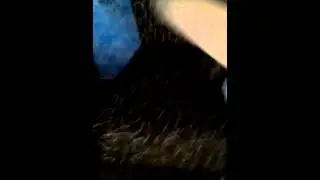 Великие художники. Часть 2