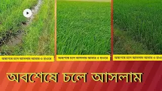 অবশেষে চলে আসলাম আবার ও হাওরে