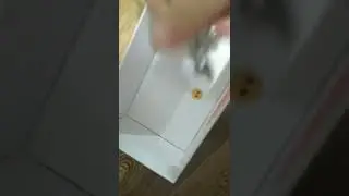 11 февраля 2022 г.