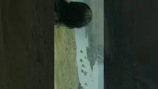 LOTR🔥(Edit) #2