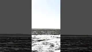 ОХОТА НА ЗАЙЦА РУСАКА С СОБАКОЙ 2024!!! 