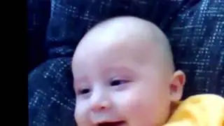 latest collection of funny videos
