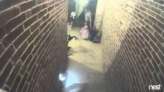 My New Clip