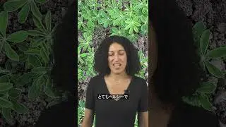 【温暖化対策】スイス農家の切り札はマメ科植物