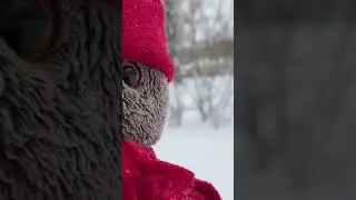 Басик хочет нырнуть в сугроб. 