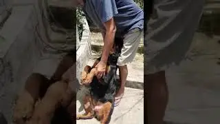 mad for massage