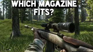 Which mags do you need in Tarkov? (Escape From Tarkov Beginner's Tips)