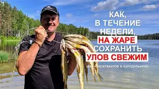 Как, с помощью вакууматора, сохранить пойманную рыбу. Без консервантов и холодильника.