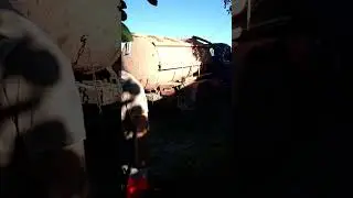 Сладкоежка Ассенизатор