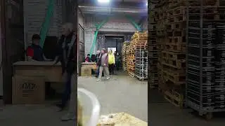 База Орхидей 12 апреля 2023 г.