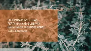 PROGRAMA PENYULUHAN KAB.SUMBAWA BARAT-NTB