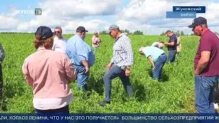 День поля 2023