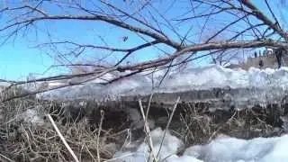 Джип спринт  Большанка 2014