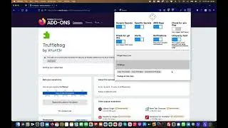 Firefox Extension Mini series | Trufflehog | Bug Bounty Service LLC