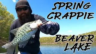 Spring Beaver Lake Crappie Fishing