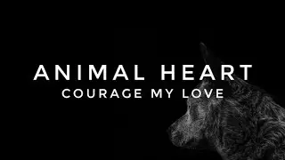 Animal Heart // Courage My Love - Español