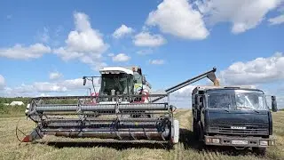 погода наладилась, выезжаем на уборку зерна. вектор 410