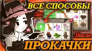 5 СОВЕТОВ ПО ПРОКАЧКЕ ИНВЕНТАРЯ АДОПТ МИ🎁//СОВЕТЫ ДЛЯ НОВИЧКОВ ❤️