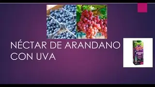 Néctar de Arándanos con uvas