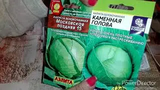 Мои новинки семян на 2022 год.