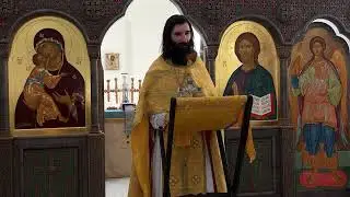 Проповедь в праздник святого великомученика и целителя Пантелеимона