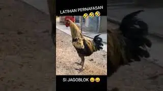 🤣🤣🤣 #fyp #funnyvideo
