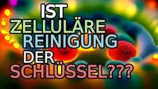 Die faszinierende Welt der Autophagie: Erkenntnisse für die Zellhomöostase & Krebstherapie