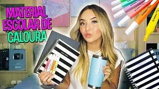 MEU MATERIAL para FACULDADE! | PRIMEIRO ANO 💚