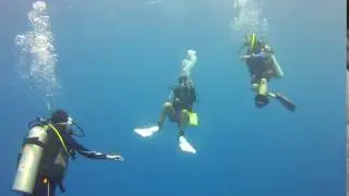 Dive Guide Rikki at a safety stop