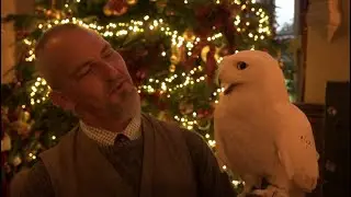 Adare Manor Christmas