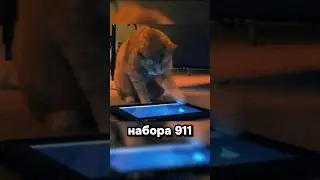 Поднять щиты за героя!