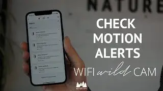 NatureSpy WiFi Wild Cam: Check motion alerts