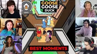 BEST MOMENTS GOOSE GOOSE DUCK | ft OFFLINETV & FRIENDS