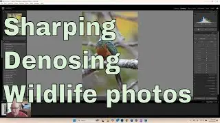Mastering Photo Enhancements In Lightroom: Sharpening And Denoising Tips