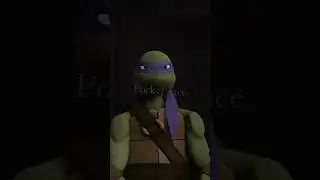 Poker face - Donatello and Michelangelo 