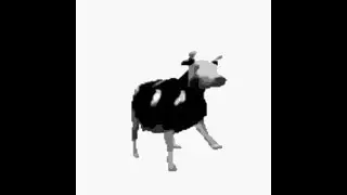 Polish cow (English Lyrics Full Version)