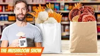 From Niche To Mainstream: Here's Why Functional Mushrooms Are Showing Up Everywhere