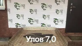 Форелевый улов - 7 кг форели