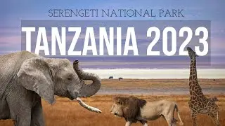African Safari in the Serengeti - Tanzania - September 2023