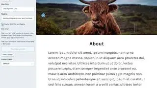 How to add a meta description to a WordPress.com site to boost SEO